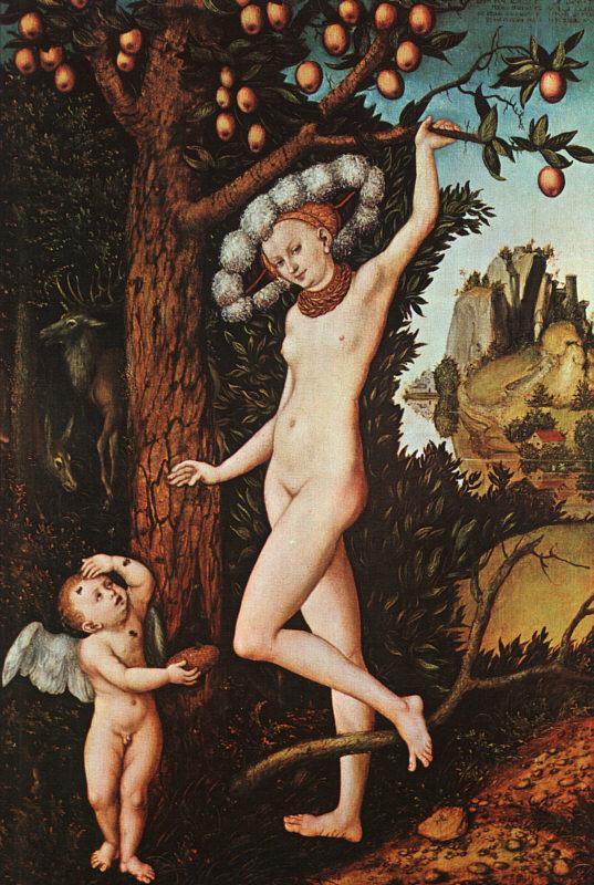 Lucas  Cranach Cupid Complaining to Venus oil painting picture